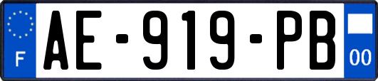 AE-919-PB