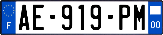 AE-919-PM