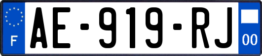 AE-919-RJ