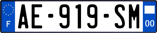 AE-919-SM