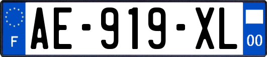 AE-919-XL