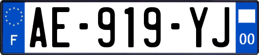 AE-919-YJ