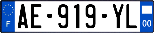 AE-919-YL