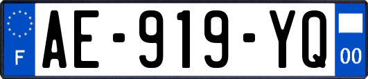 AE-919-YQ