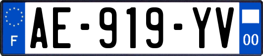 AE-919-YV