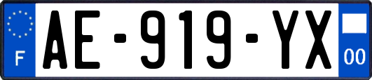 AE-919-YX