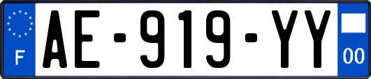 AE-919-YY
