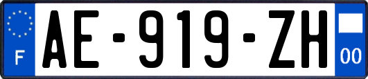 AE-919-ZH