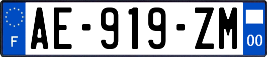 AE-919-ZM