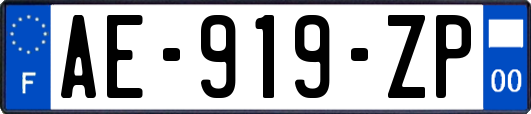 AE-919-ZP