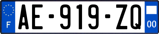 AE-919-ZQ