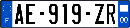 AE-919-ZR