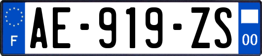 AE-919-ZS