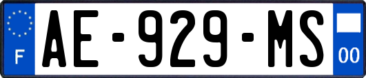 AE-929-MS