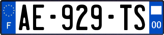 AE-929-TS