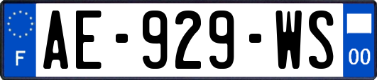 AE-929-WS