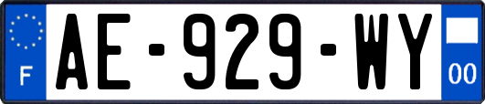 AE-929-WY