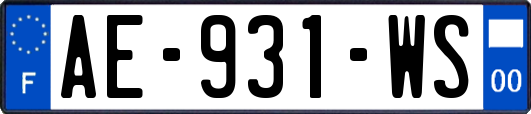 AE-931-WS