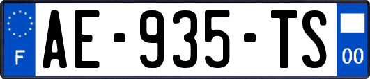 AE-935-TS