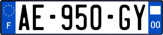 AE-950-GY