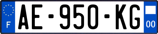 AE-950-KG