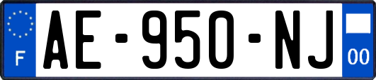 AE-950-NJ