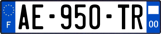 AE-950-TR