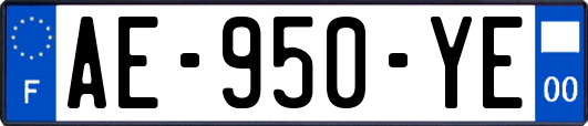 AE-950-YE