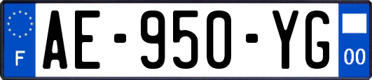 AE-950-YG
