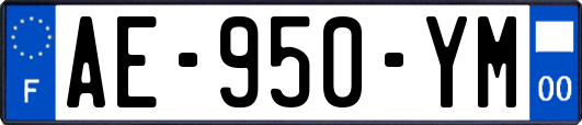 AE-950-YM