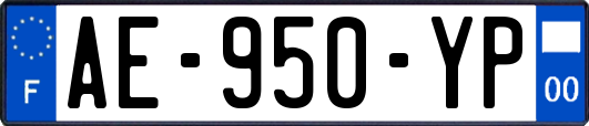 AE-950-YP