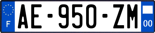 AE-950-ZM