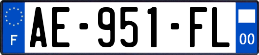 AE-951-FL