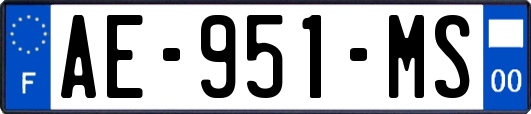 AE-951-MS