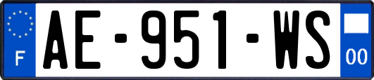 AE-951-WS