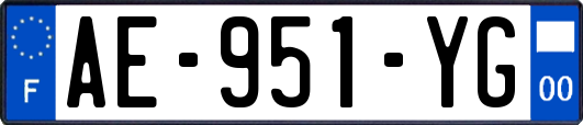 AE-951-YG