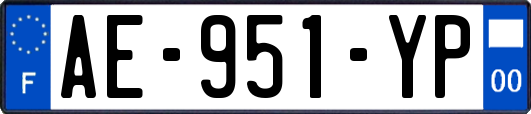 AE-951-YP