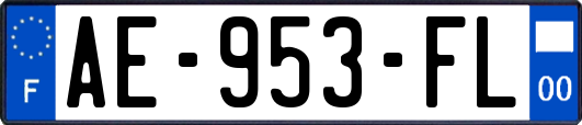 AE-953-FL