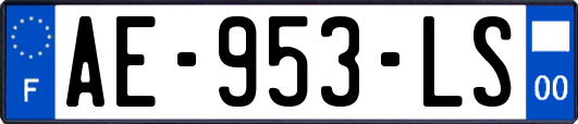 AE-953-LS