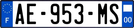 AE-953-MS