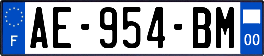 AE-954-BM