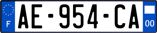 AE-954-CA