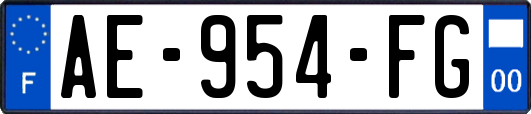 AE-954-FG
