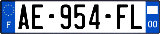 AE-954-FL