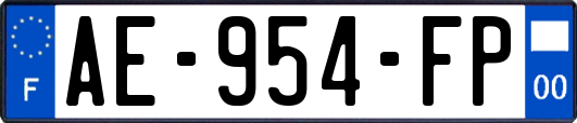 AE-954-FP