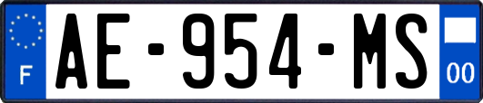 AE-954-MS