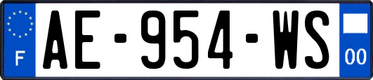 AE-954-WS