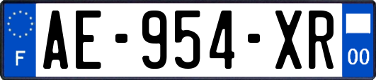 AE-954-XR
