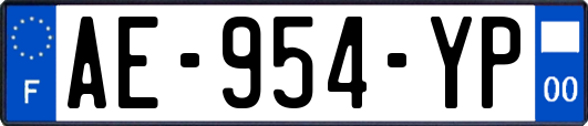 AE-954-YP