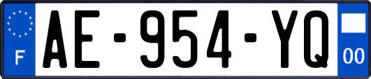 AE-954-YQ